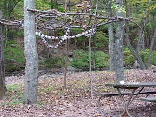 p1000021.jpg